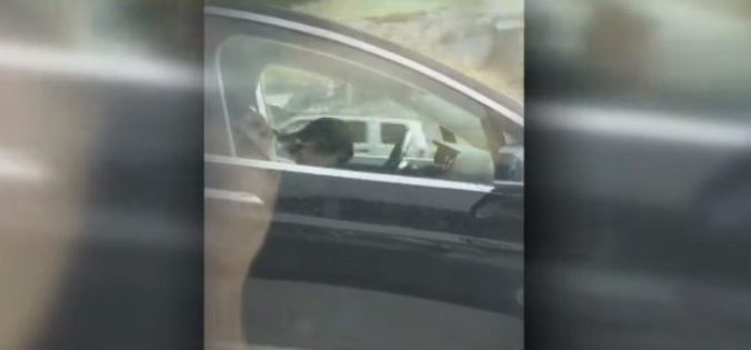 Video: Vodič Tesly sa rútil po diaľnici a spal, zatiaľ čo auto riadil autopilot