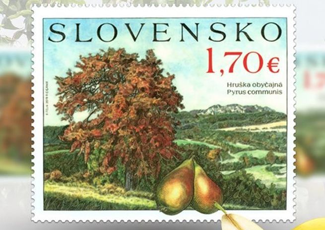 Slovenská pošta vydala známku k výročiu založenia krajinnej oblasti Biele Karpaty
