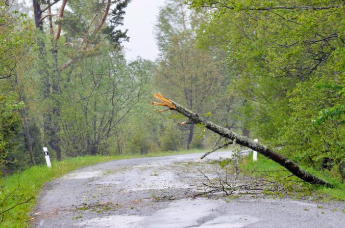 Ždiar bičoval silný vietor, popadali stromy a cesta bola neprejazdná