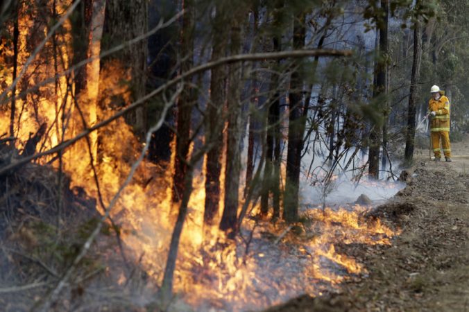 Lesné požiare v Austrálii zabili už vyše miliardu zvierat a zničili územie veľké ako Rakúsko (video)