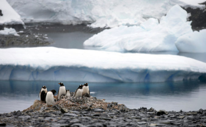 Na Antarktíde padol teplotný rekord, teplota sa vyšplhala na 18,3 stupňa Celzia