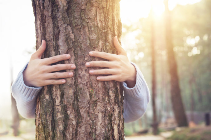 Ako prekonať pocit izolácie? Choďte do lesa a objímajte stromy, radia lesníci na Islande