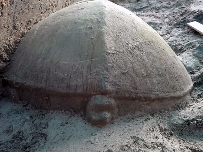 V komplexe Angkór Vat našli veľkú sochu korytnačky, je zrejme z desiateho storočia (video)