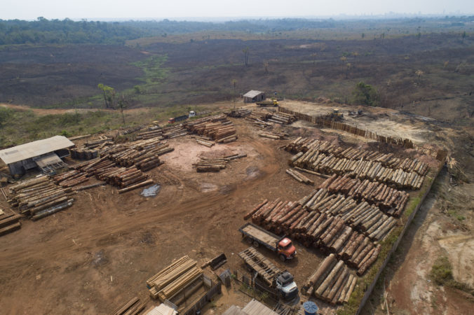 Odlesňovanie v Amazónii sa výrazne zrýchlilo, podľa ochranárov za to môže politika prezidenta Bolsonara
