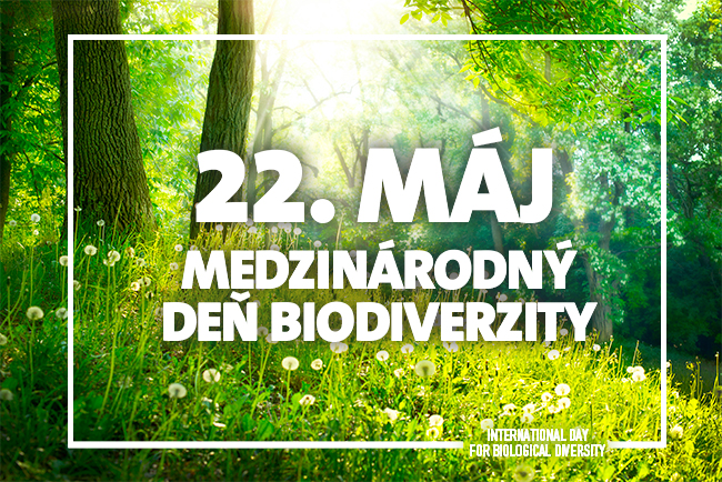 Deň biodiverzity tento rok netradične