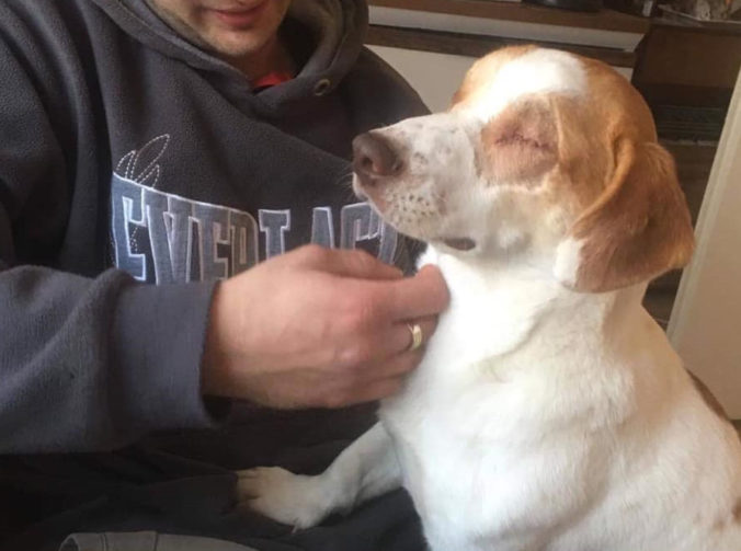 Nevinnému psíkovi Oskarovi vypálil oči žieravinou, mladík už čelí obvineniu z týrania zvierat