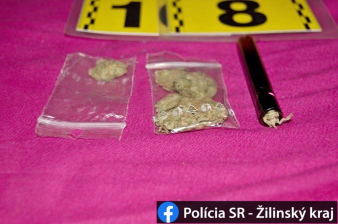 Žilinčanku obvinili z výroby a držania omamných látok, drogy odovzdala polícii dobrovoľne (foto)