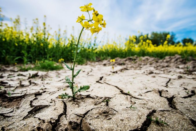 Európe hrozia čoraz častejšie extrémne suchá, pomôcť môže len zníženie skleníkových plynov