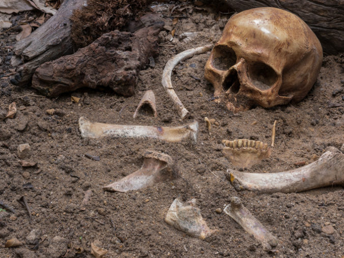 Českí archeológovia objavili hrob keltského bojovníka, pochovaný bol aj s netradičným náramkom