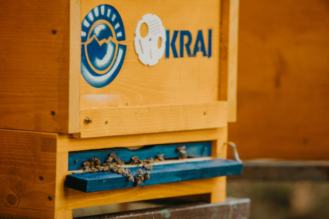 Sieť potravín KRAJ dala nový život 50-ročnej včelnici, podporuje včelárov a predáva výnimočné medy