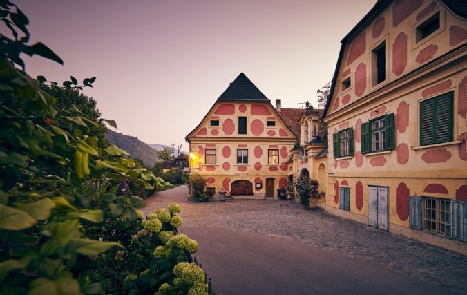 V Dolnom Rakúsku si počas vinárskej jesene vo víne vychutnáte kombináciu tradície a inovácií