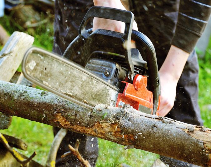 Muža zo Sečoviec pri orezávaní konárov zavalil strom, zraneniam na mieste podľahol