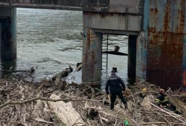 V Dunaji našli telo muža, jeho totožnosť je zatiaľ neznáma