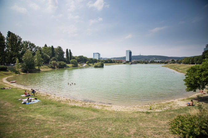Jazero Kuchajda pení a na brehoch sa objavujú mŕtve ryby, bratislavské Nové Mesto reaguje