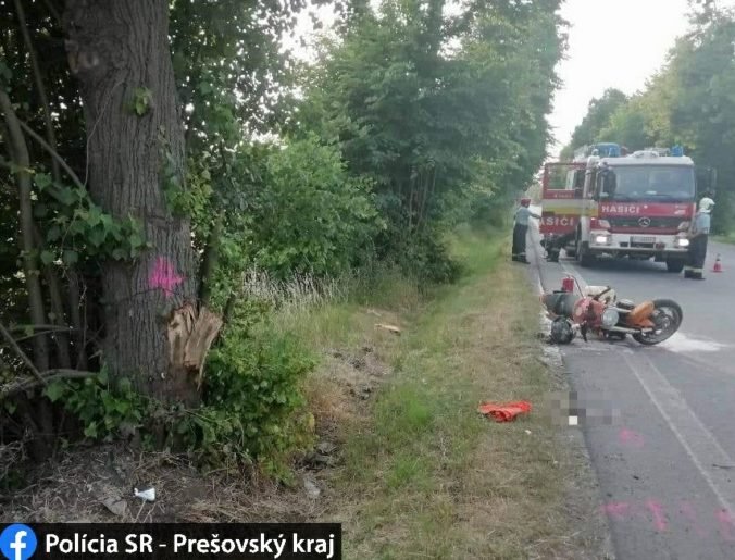 Motorkár narazil do protiidúceho Audi a následne do stromu, zraneniam na mieste podľahol (foto)