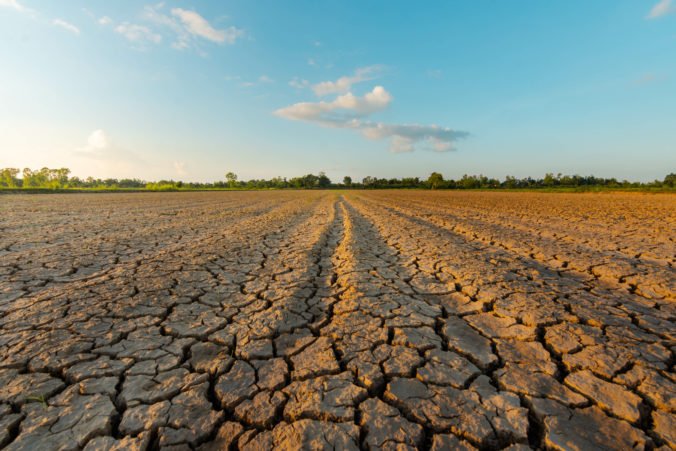Kaufland a Lidl si stanovili ambiciózne ciele na ochranu klímy. Obe spoločnosti chcú znížiť produkciu prevádzkových emisií CO2 o 80 percent