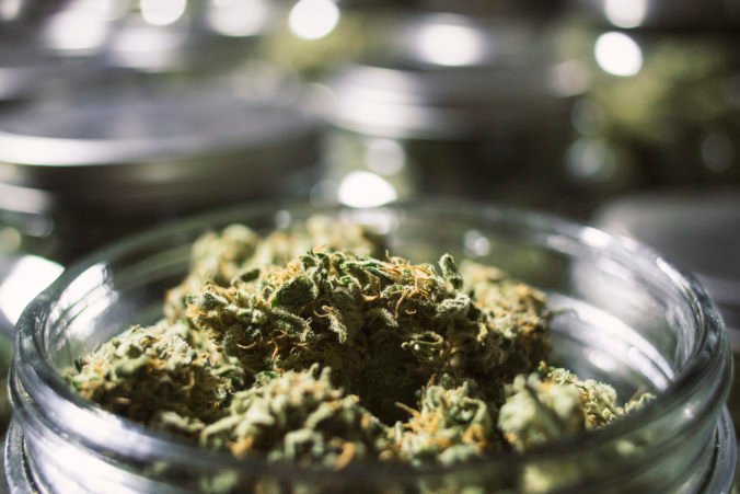 Petíciu za dekriminalizáciu marihuany podpísalo 20-tisíc ľudí, podľa Hojsíka sú trestné sadzby prehnané