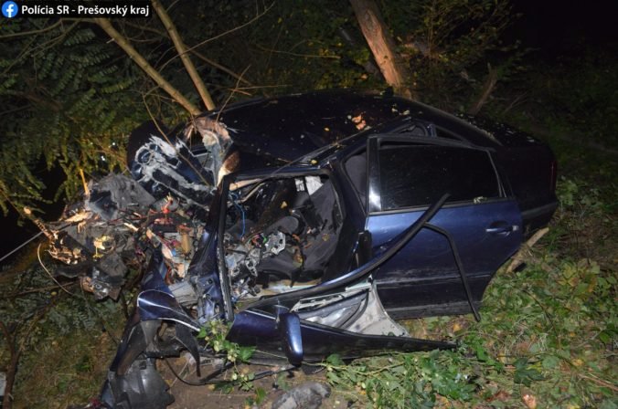 Vodič zišiel s autom mimo cestu, náraz do stromu neprežil (foto)