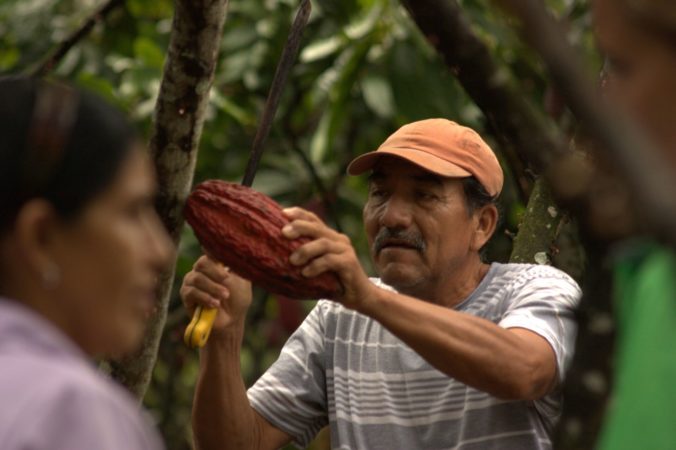 Mars bojuje proti odlesňovaniu pralesov pri pestovaní kakaa. Na Medzinárodnom dni kakaa oznamuje spoločnosť progres, ktorý v rámci svojho dodávateľského reťazca urobila