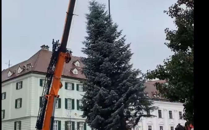 Na Hlavnom námestí v Bratislave už stojí vianočný stromček (video)