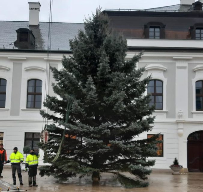 Prezidentka Čaputová má vianočný strom spred fary v Bukovej, ďalší zas skončil pred parlamentom (foto)
