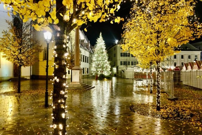 V Bratislave sa uchytil zber vianočných stromčekov z ohrádok, za prvý týždeň OLO vyzbieralo až 130 ton