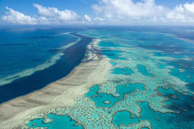Vláda chce zlepšiť zdravotný stav Veľkej koralovej bariéry, na jej záchranu investuje miliardu austrálskych dolárov