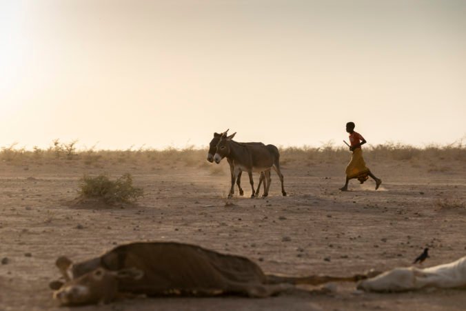 Afriku má zasiahnuť najhoršie sucho za posledných 40 rokov, v ohrození sú milióny ľudí