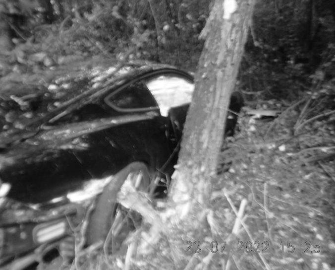 Vodič Fordu Mustang nezvládol rýchlu jazdu a narazil do stromu, nehoda skončila tragicky