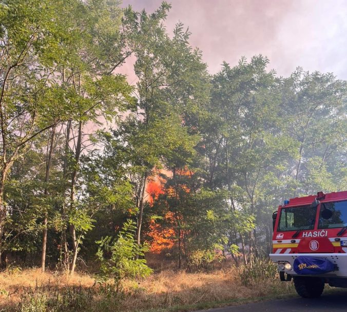 Hasiči museli hasiť aj požiar lesného porastu, ktorý pre nedbalosť vypukol pri obci Gajary (foto)