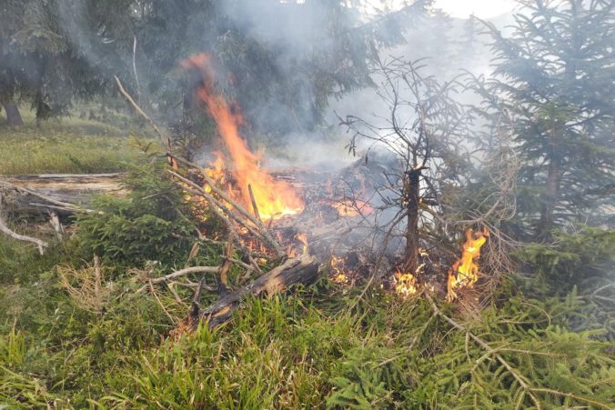 Hasiči od začiatku júla likvidovali 67 lesných požiarov, v prírode platia obmedzenia a hrozia pokuty