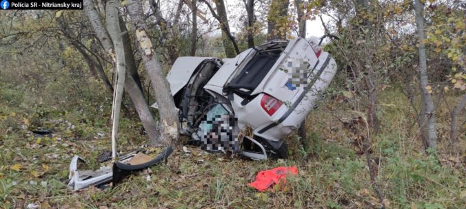 Auto zišlo mimo cestu a narazilo do stromu, vodič aj jeho mladší spolujazdec neprežili (foto)