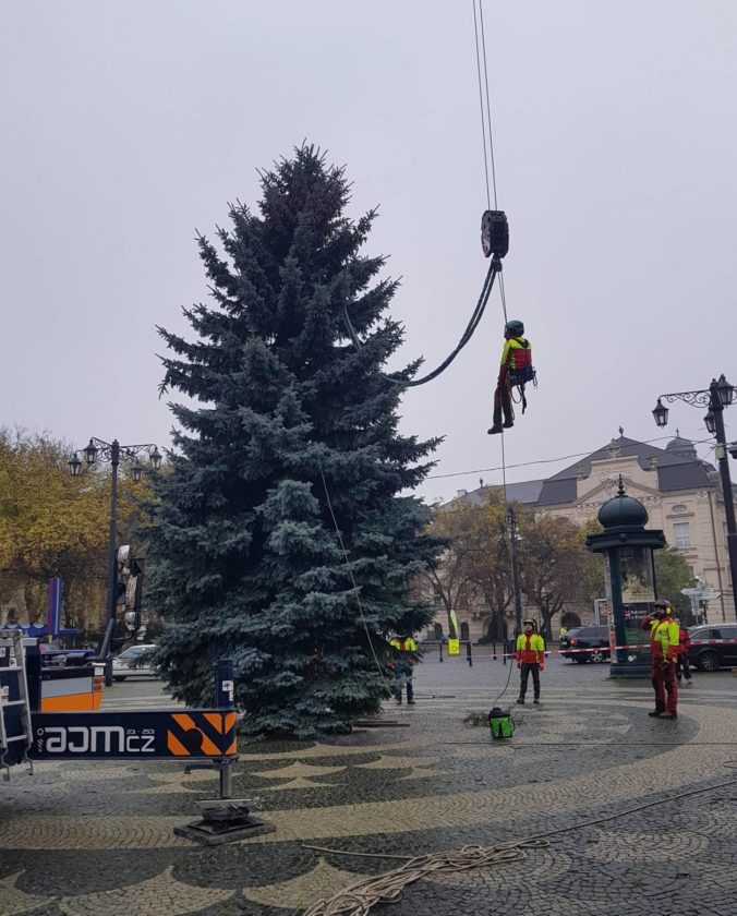Vianočný stromček stojí už aj na Hviezdoslavovom námestí, rozsvieti sa spolu s kultúrnym programom