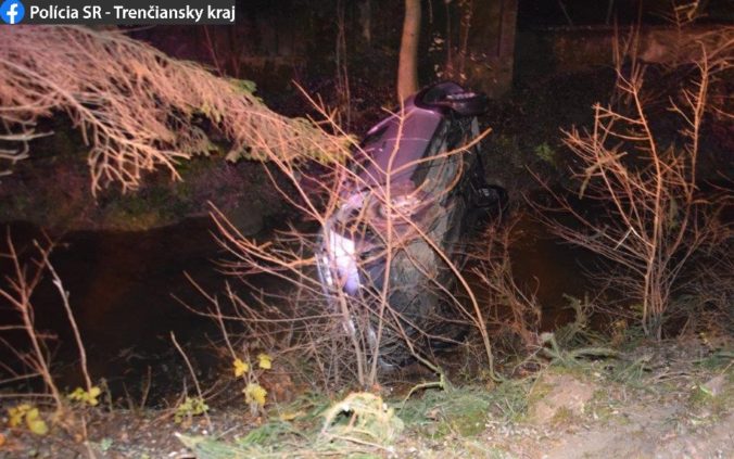 Vodič prešiel cez stredový ostrovček a narazil do stromu, našli ho bez známok života (foto)