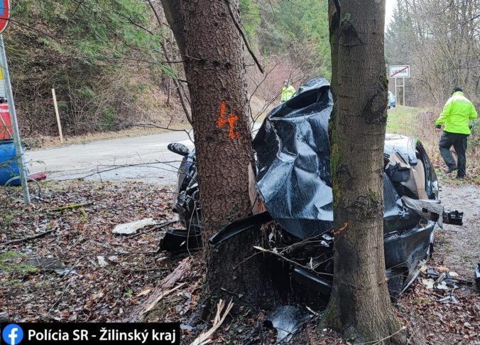 Vodič v zákrute prešiel do protismeru, náraz do stromu neprežil (foto)