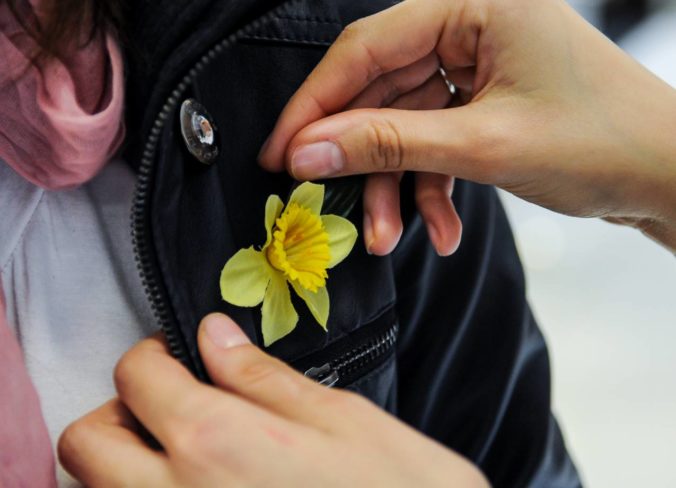 Slovensko zaplavili žlté narcisy na podporu ľudí s rakovinou