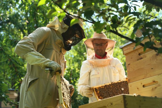 Potraviny KRAJ podporujú včelárstvo a výrobu tradičného medu na Slovensku