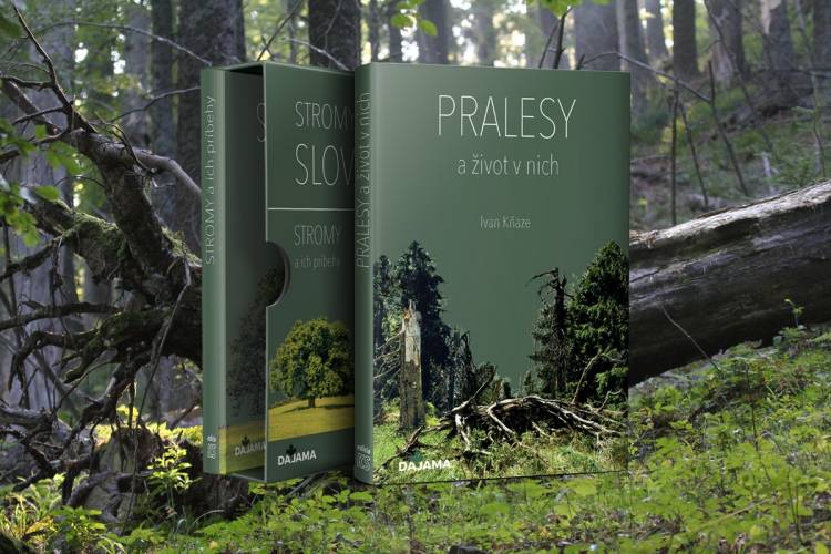 Cestujte a spoznajte výnimočné slovenské Pralesy. Aj život v nich