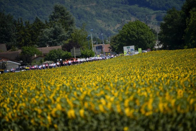 Sagan sa v 14. etape Tour de France 2023 vyhol hromadnému pádu, na zemi skončili desiatky cyklistov (video)