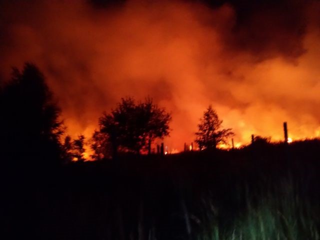 V Malých Karpatoch v noci horel les, zasahovali desiatky hasičov (foto)