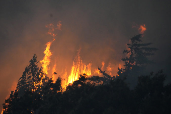 Lesné požiare v Portugalsku zničili tisíce hektárov porastov, padol aj teplotný rekord 46,4 stupňa Celzia (video)