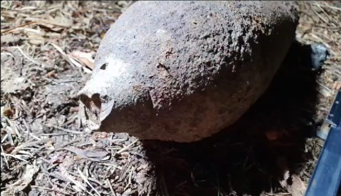 V blízkosti Železnej studničky našli muníciu z druhej svetovej vojny, zasahoval pyrotechnik (video) 
