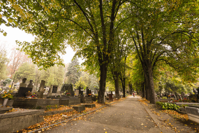 V Košiciach sa dostanú k hrobom aj imobilní návštevníci Verejného cintorína, transport zabezpečí Správa mestskej zelene