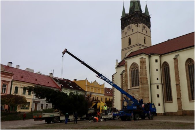 Prešovčania už majú vianočný stromček, pred Konkatedrálou sv. Mikuláša osadili 30-ročný smrek (video+foto)