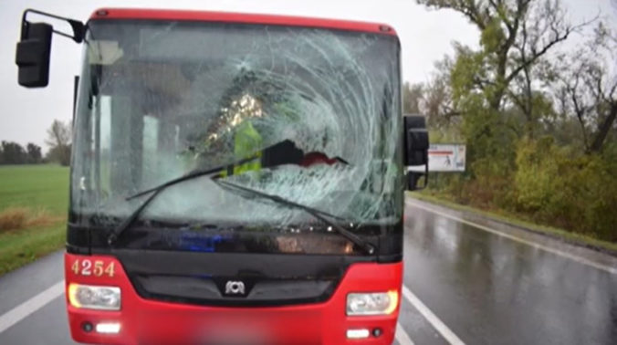 Do autobusu bratislavskej MDH narazila srna, po náraze do čelného skla sa zviera prepadlo do kabíny vodiča (video)