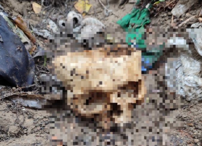 Policajti vyšetrujú predmet v tvare ľudskej lebky, našiel sa pod diaľnicou D1