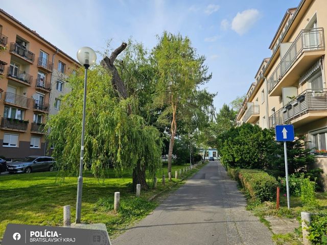 Policajti riešili kuriózny prípad, muž sa namiesto výkonu trestu odňatia slobody vlámal do auta a tam zaspal