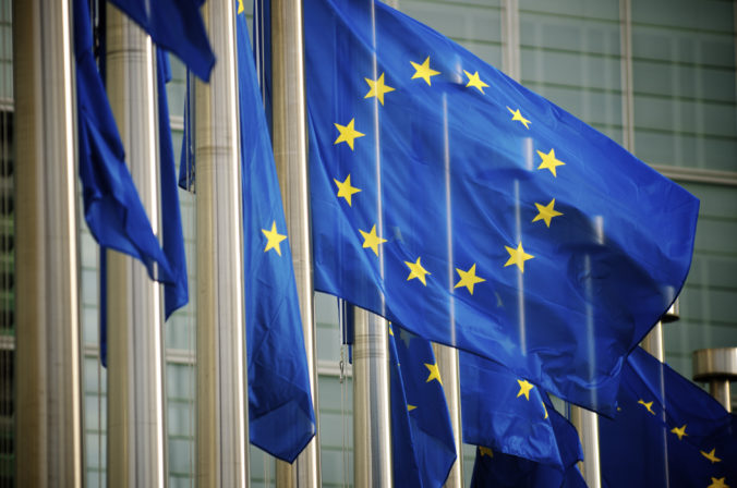 Slovenskí europoslanci sú už rozdelení do výborov v Európskom parlamente