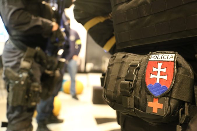 Polícia vykonala na východnej hranici bezpečnostnú akciu, nasadených bolo viac než 320 policajtov