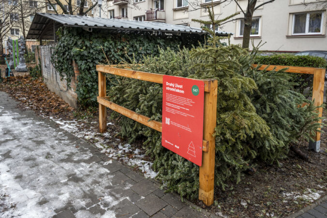 Vianočné stromčeky dostali druhý život. Bratislava ich využila do poslednej triesky, zmenili sa na knižnice a mulč